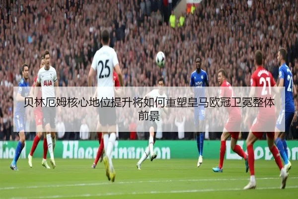bei-lin-e-mu-he-xin-di-wei-ti-sheng-jiang-ru-he-zhong-su-huang-ma-ou-guan-wei-mian-zheng-ti-qian-jing-2-121.jpg